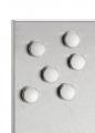 Blomus Set 6 kusů magnetů 2cm Muro 