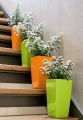 Lechuza Mini-Cubi oranžová s příslušenstvím